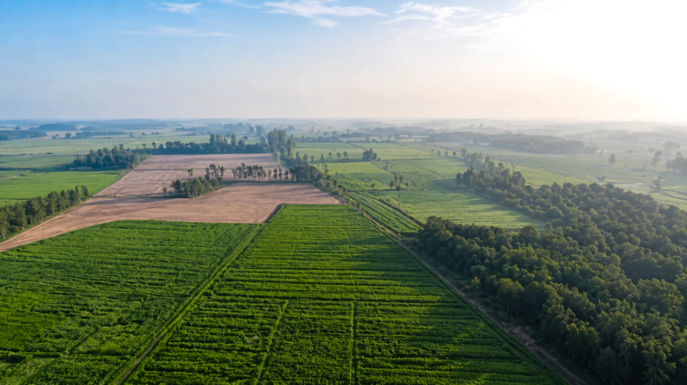 Milak, Uttar Pradesh 244701, India