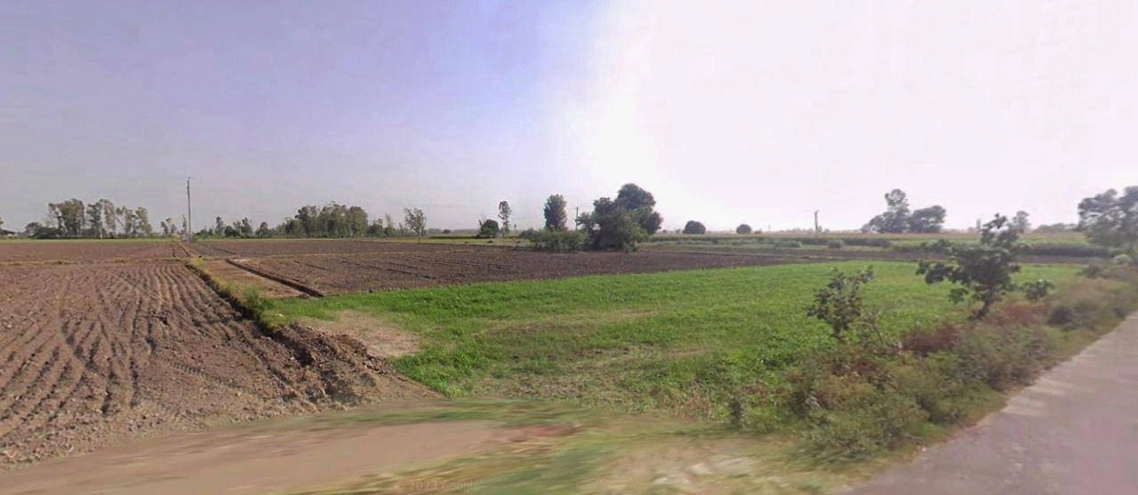 Dadri Toye, Haryana 124103, India