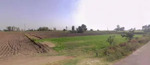 Dadri Toye, Haryana 124103, India preview 2