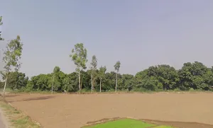 Pooth, Uttar Pradesh 245208, India preview 2