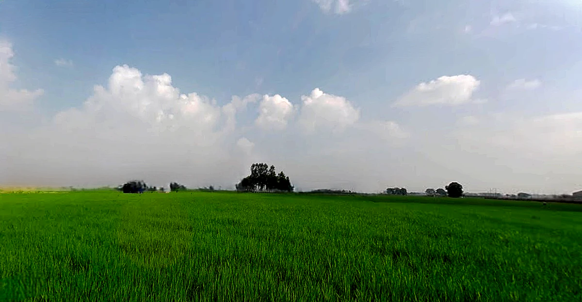 RHGC+759, Morinda Rd, Kurali, Punjab 140103, India