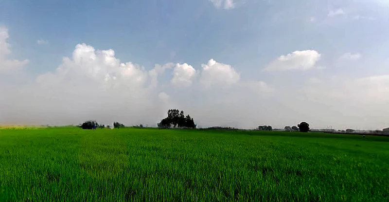 RHGC+759, Morinda Rd, Kurali, Punjab 140103, India preview 2