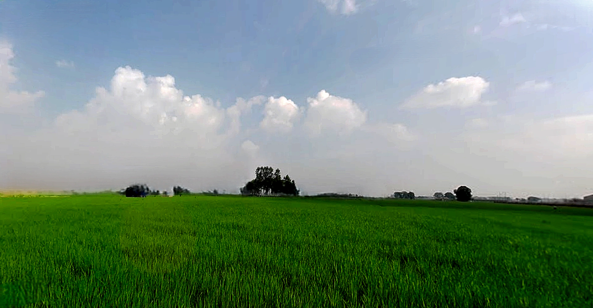 RHGC+759, Morinda Rd, Kurali, Punjab 140103, India