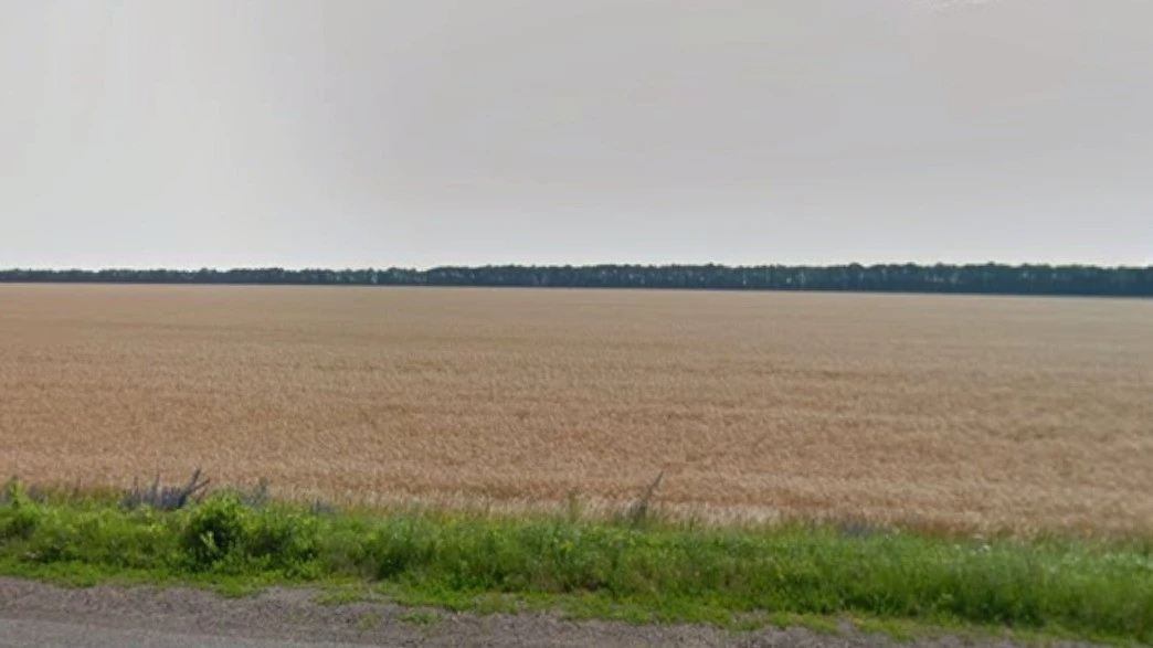 Rania, Uttar Pradesh, India