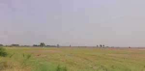 Nayagaon, Bihar 841217, India preview 3