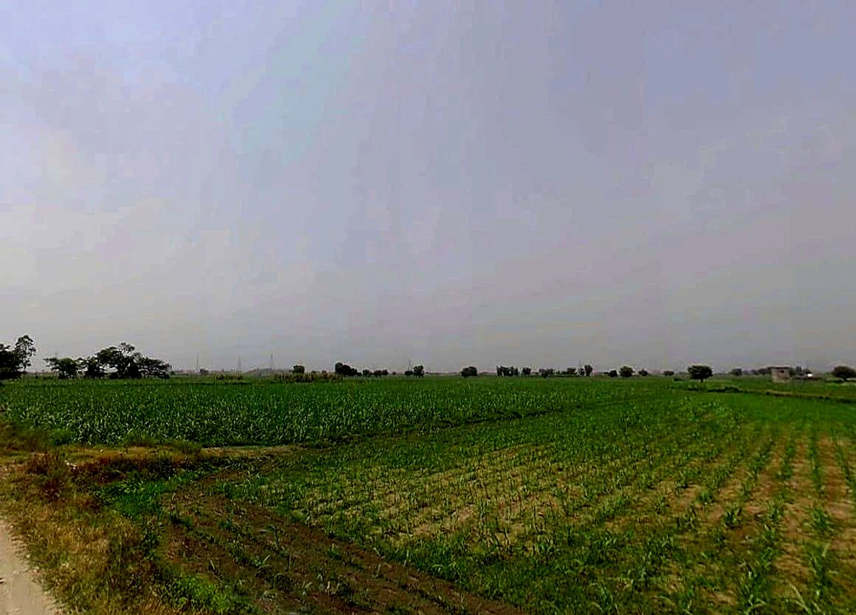 Jansath, Uttar Pradesh 251314, India