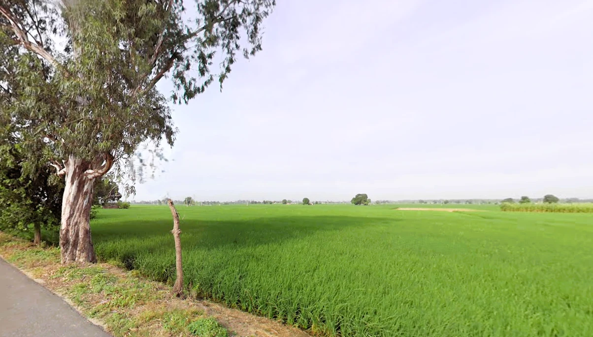 Madlauda, Haryana 132113, India