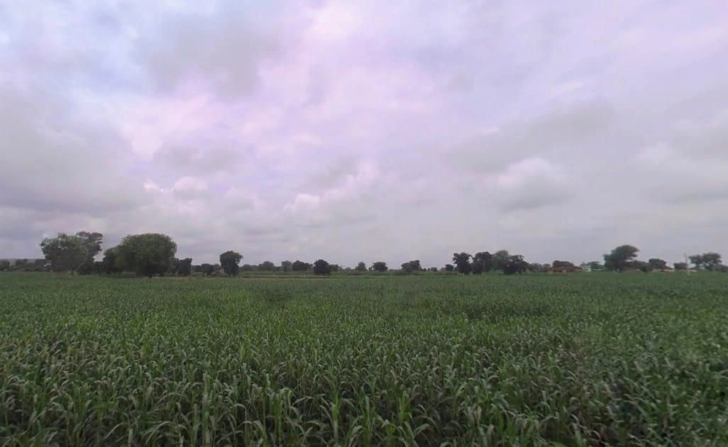 X877+RH2, Nagla Jhamra, Rajasthan, India preview 3