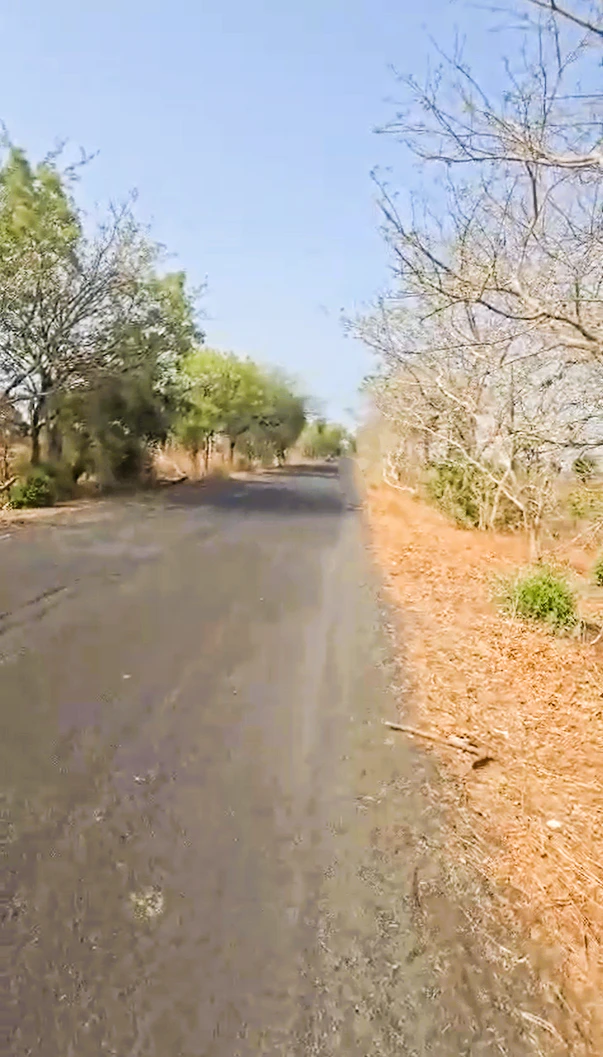 7X85+3XC, Kuharwas, Rajasthan 333034, India
