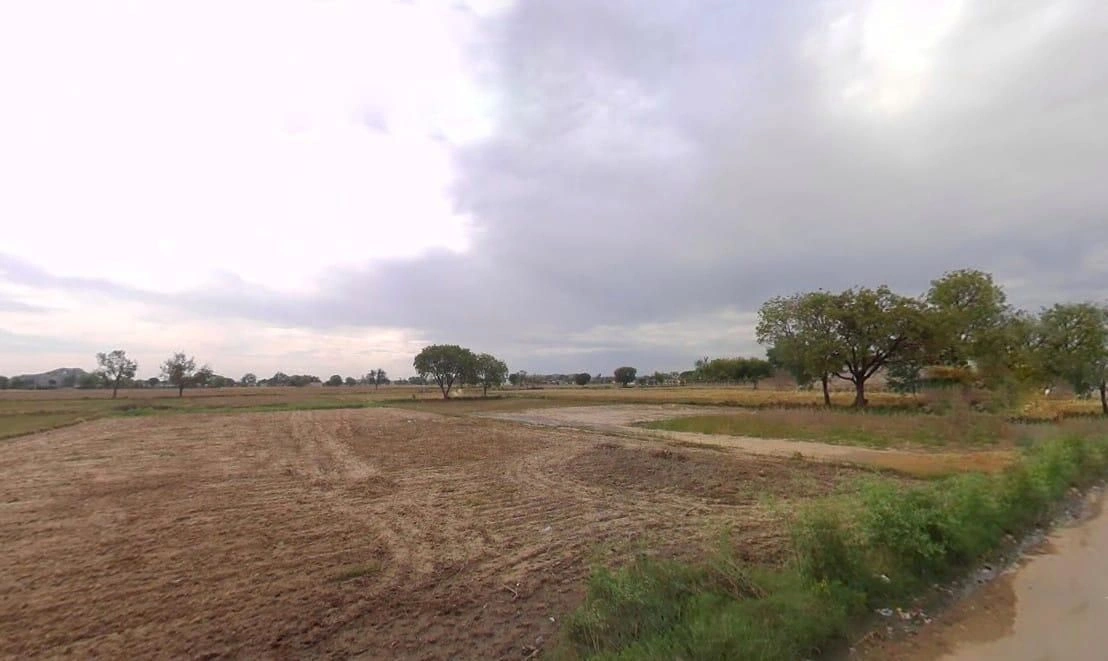 RMQH+52W, Basai Kalan, Rajasthan, India