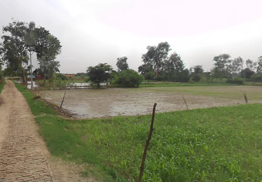 Papad Hamjapur, Uttar Pradesh 243635, India