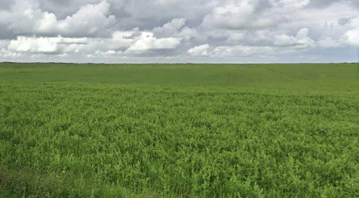 Sitamau, Madhya Pradesh 458990, India