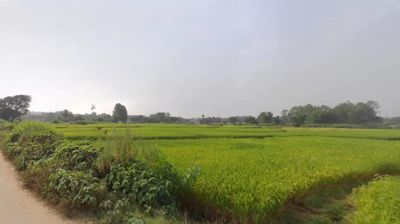 QF72+7F5, Asanpani, West Bengal 723129, India preview 2