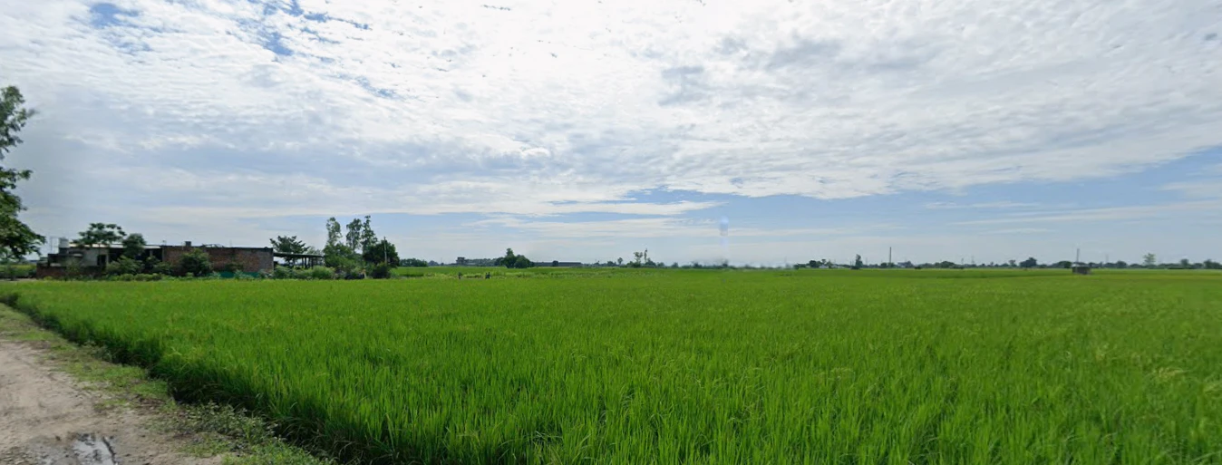 Chohan, Punjab 143149, India