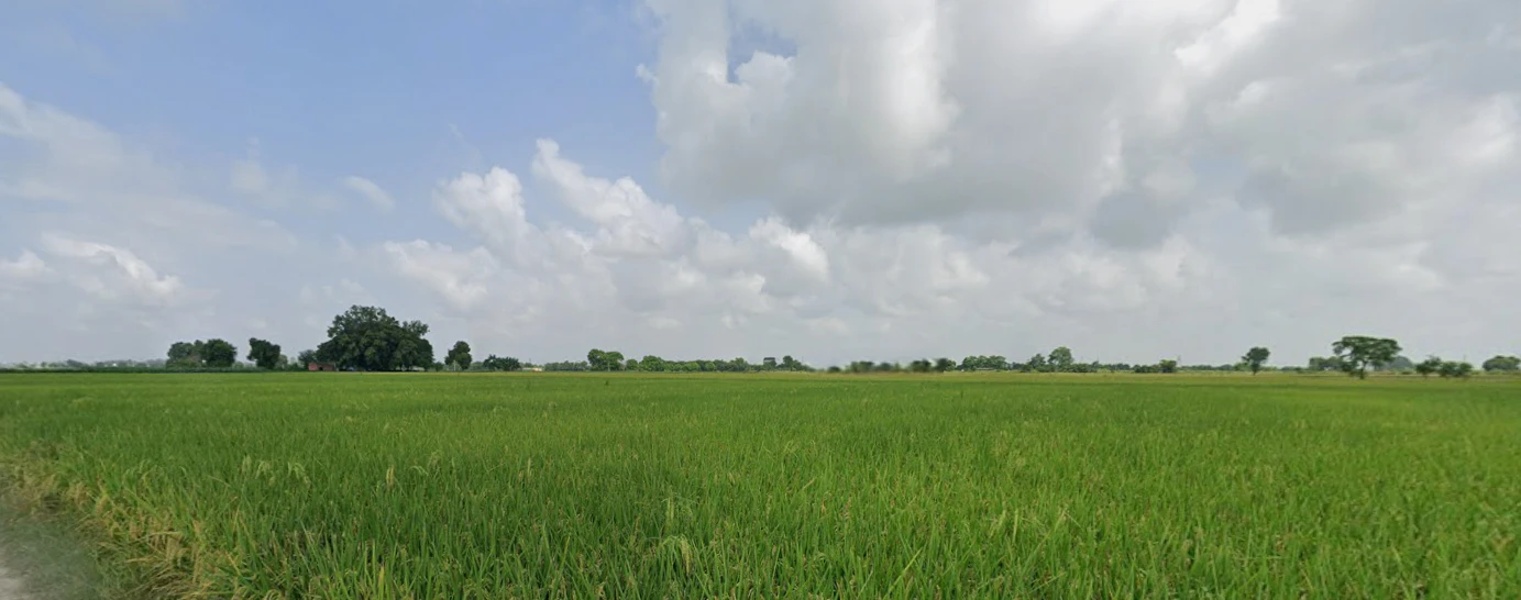 Mallian, Punjab, India