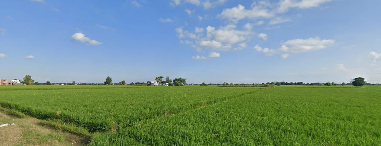 Jandiala, Punjab 143115, India