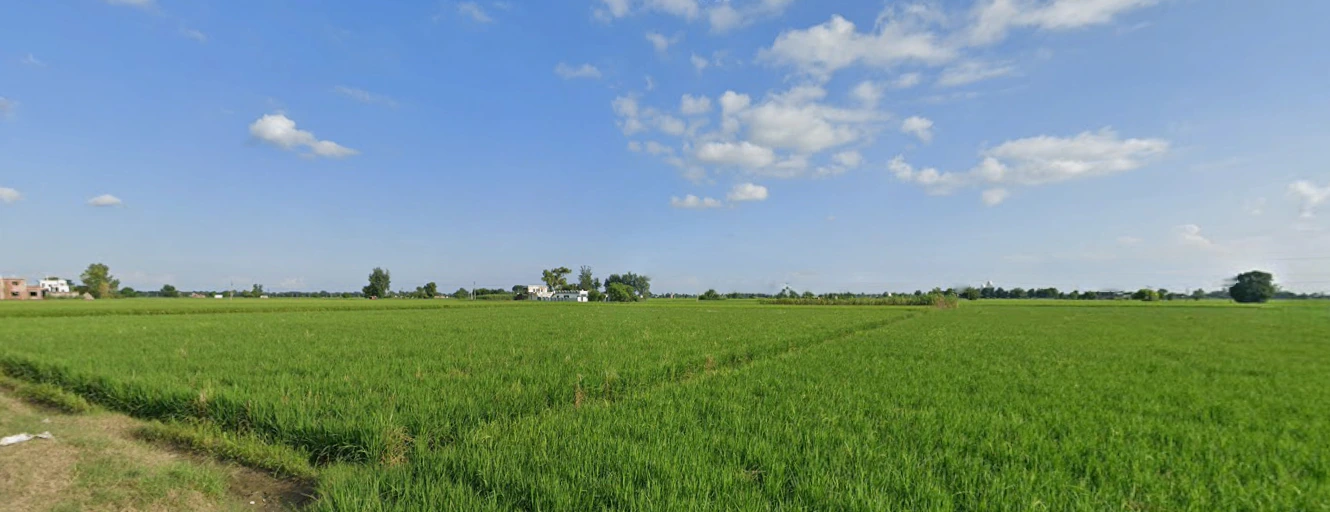 Jandiala, Punjab 143115, India