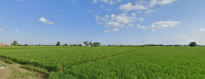 Jandiala, Punjab 143115, India preview 2