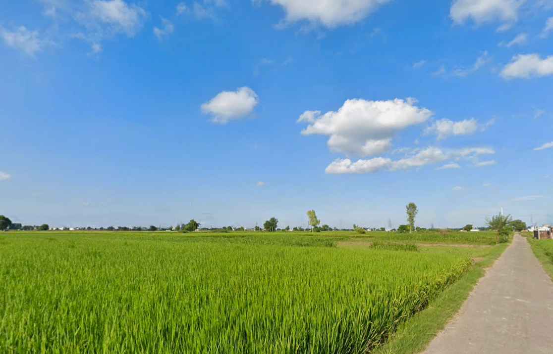 Tangra, Punjab, India