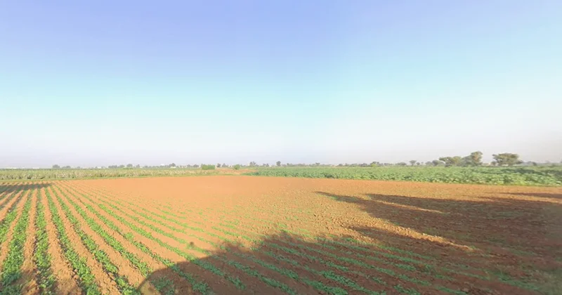 Sachana, Gujarat, India preview 2