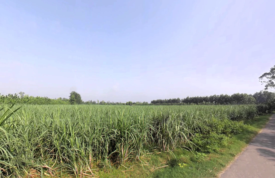 Nakur, Uttar Pradesh 247342, India
