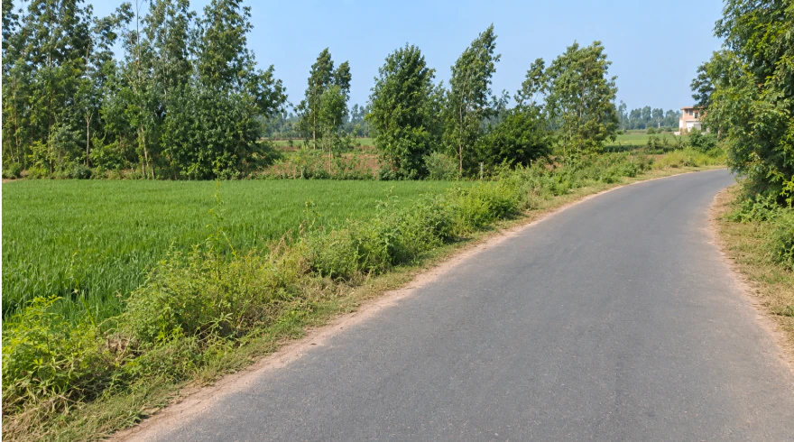 Maddikunta Rd, Sangareddy, Maddikunta, Telangana 502291, India