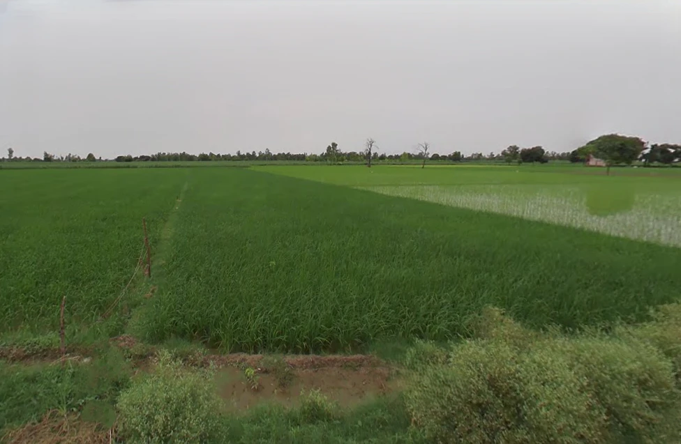 Narauli, Uttar Pradesh 244414, India