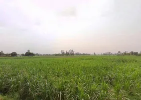 767G+WW Mandanpur T. Sujanpur, Uttar Pradesh, India preview 2