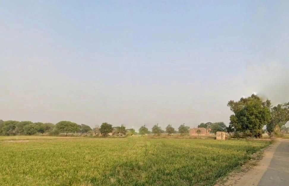 RMH4+JFW, Jhai, Rajasthan, India