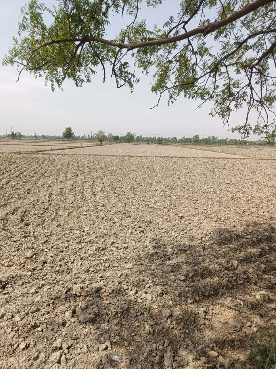 Aou, Rajasthan, India