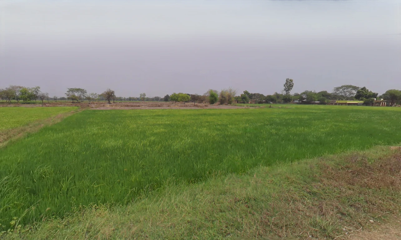 Dewada, Chhattisgarh 491443, India