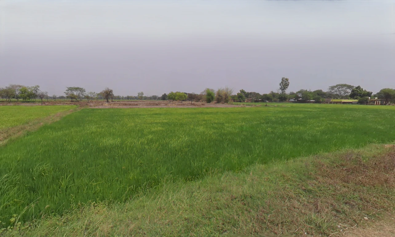 Dewada, Chhattisgarh 491443, India