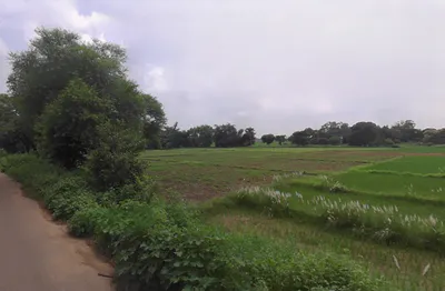 Banaki, Uttar Pradesh 231309, India preview 3