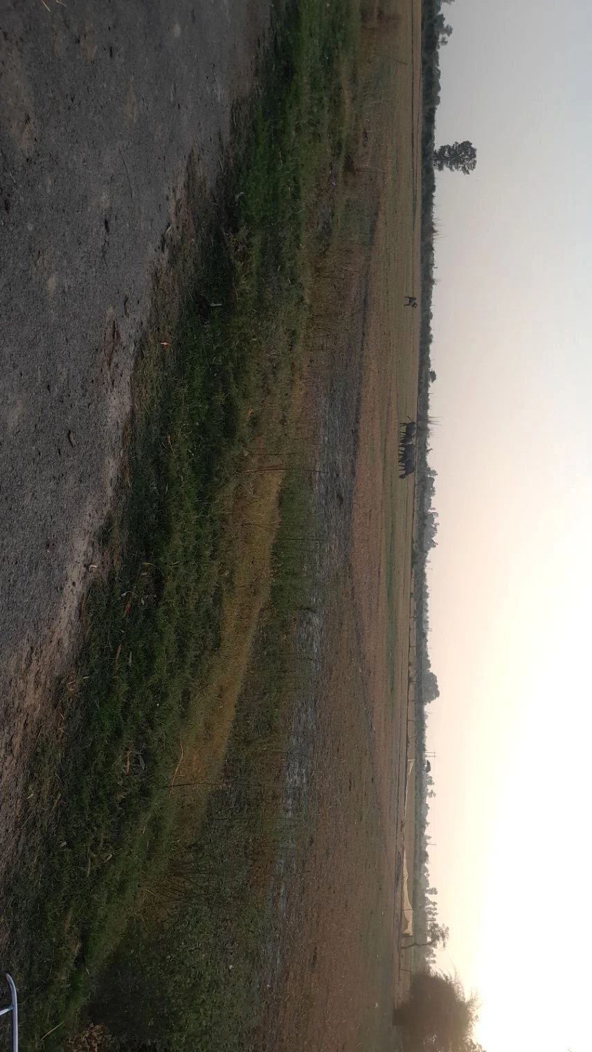 R44C+R3 Fatehpur Saraiya Manjh, Uttar Pradesh, India