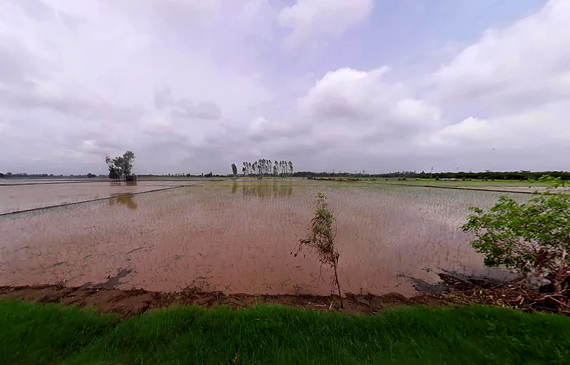 Bopur, Haryana 136034, India preview 2