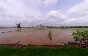 Bopur, Haryana 136034, India preview 2