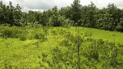 J5RW+XJ4, Palghar, Pimproli, Maharashtra 421303, India preview 2