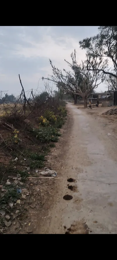 CQ92+G9C, Thumrela, Kharkhara, Rajasthan 301406, India preview 2