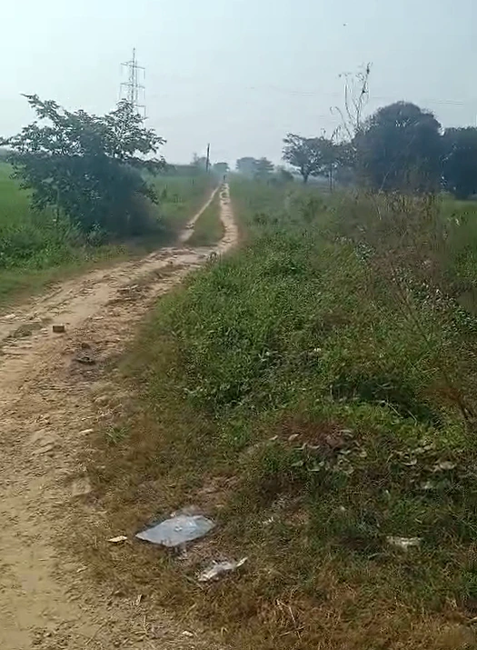 Dariyapur, Bulandshahr, Uttar Pradesh 203001, India - Photo 3