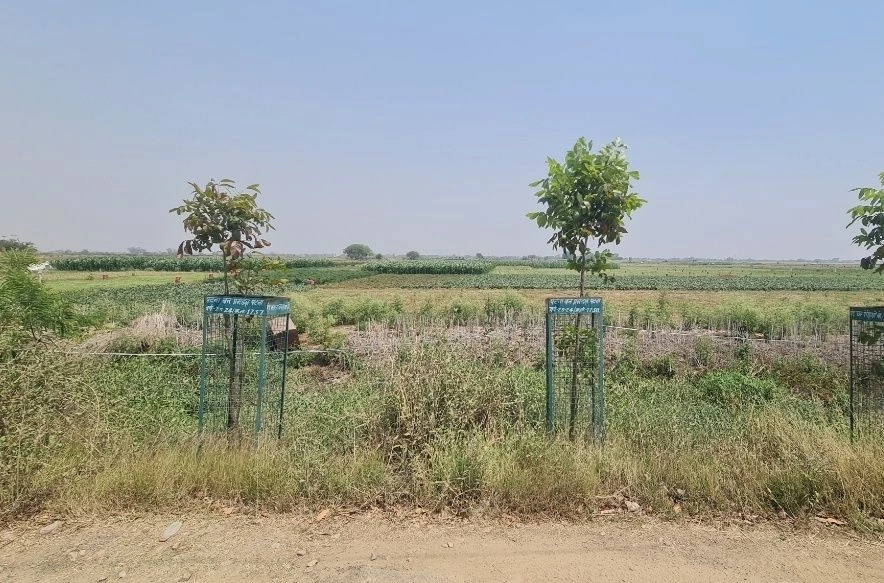 Fatehpur, Bihar 800007, India