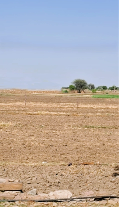 Khatoo, Rajasthan 332602, India
