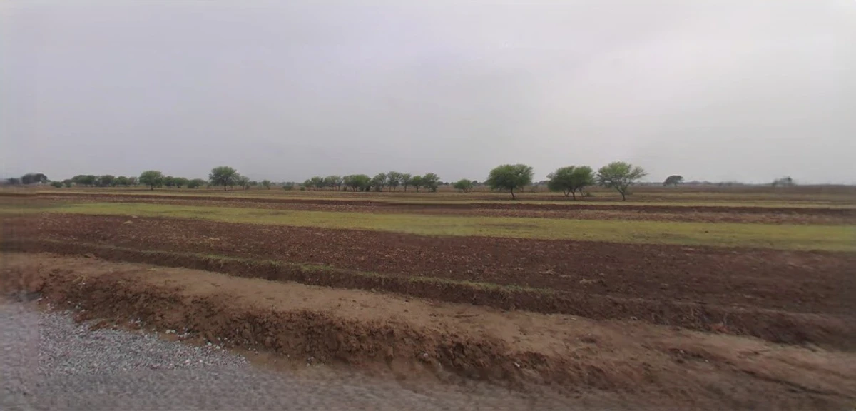 Barnagar, Madhya Pradesh 456771, India