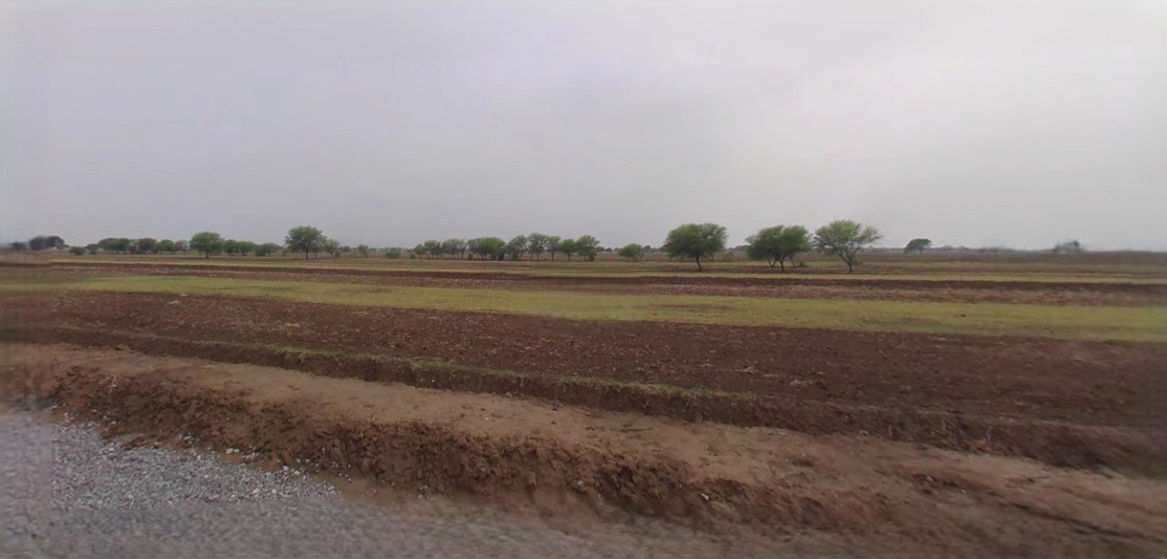 Barnagar, Madhya Pradesh 456771, India