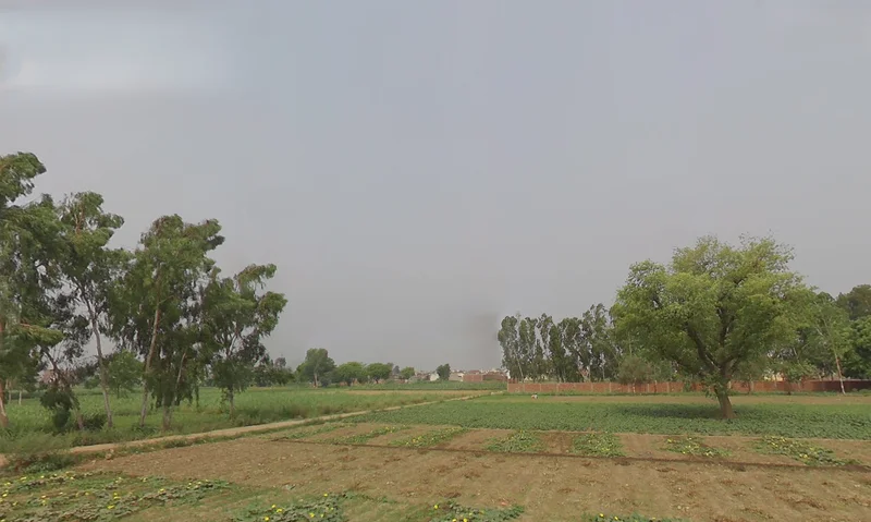 Kashipur, Uttarakhand 244713, India preview 3