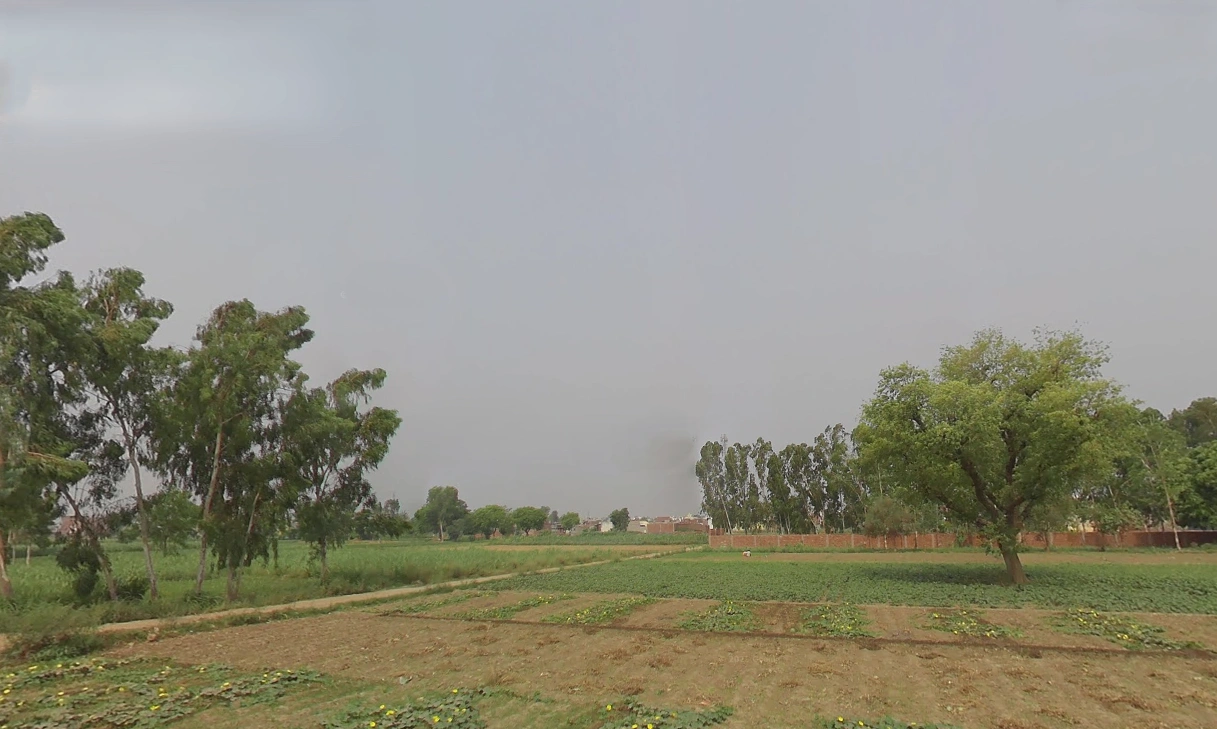 Kashipur, Uttarakhand 244713, India