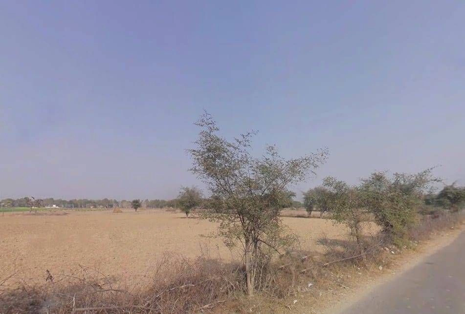 Khachariawas, Rajasthan 332710, India preview 3