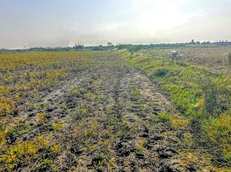 Barnagar, Madhya Pradesh 456771, India