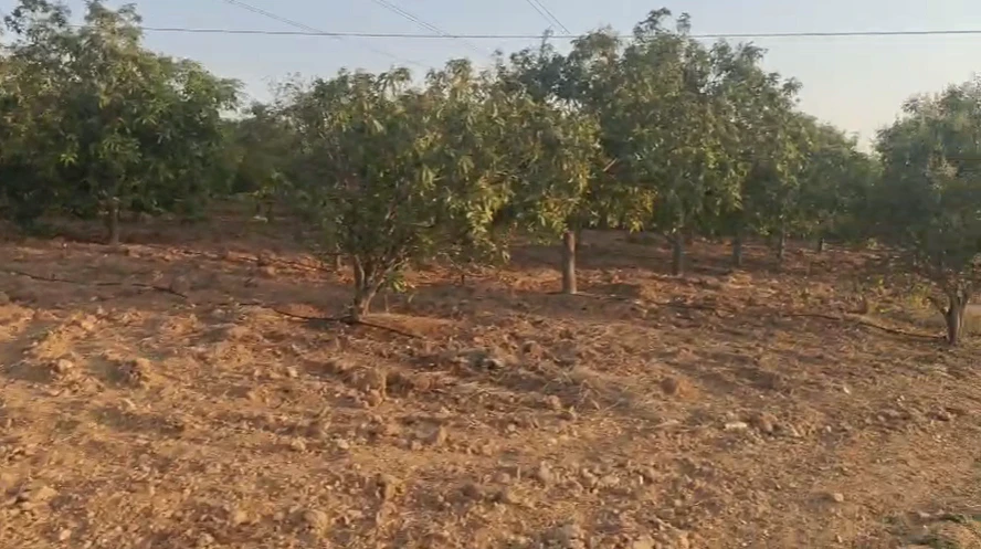 4GQ9+VX Kogira, Andhra Pradesh, India