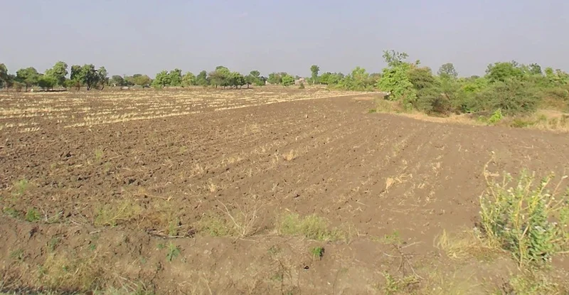 Guradiyadasa, Madhya Pradesh 456443, India preview 2