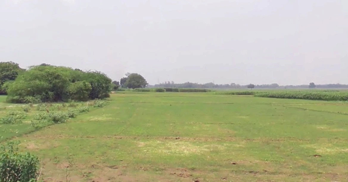 Chouslakulmi, Madhya Pradesh, India